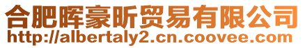 合肥暉豪昕貿(mào)易有限公司