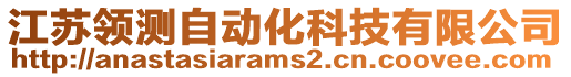 江蘇領(lǐng)測自動化科技有限公司