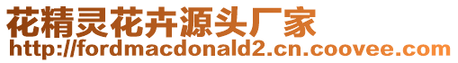 花精靈花卉源頭廠家