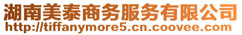 湖南美泰商務(wù)服務(wù)有限公司