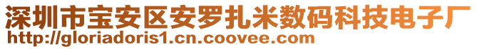 深圳市寶安區安羅扎米數碼科技電子廠