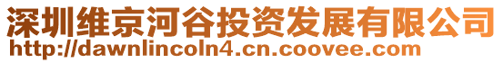 深圳维京河谷投资发展有限公司