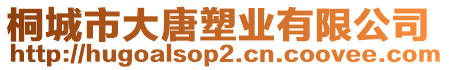 桐城市大唐塑業(yè)有限公司