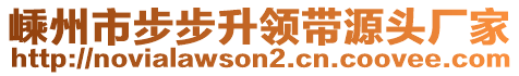 嵊州市步步升領(lǐng)帶源頭廠家