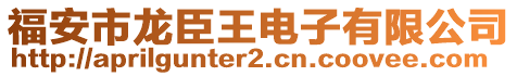 福安市龍臣王電子有限公司