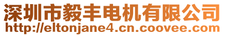 深圳市毅豐電機有限公司