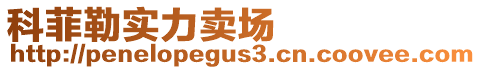 科菲勒實力賣場