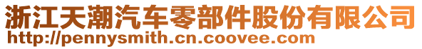 浙江天潮汽車零部件股份有限公司