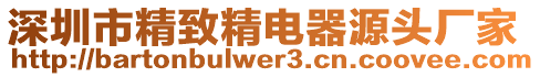 深圳市精致精電器源頭廠家