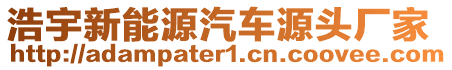 浩宇新能源汽車源頭廠家