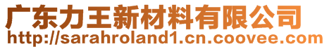 廣東力王新材料有限公司