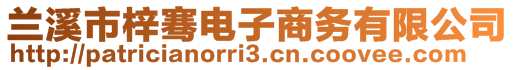 蘭溪市梓騫電子商務(wù)有限公司