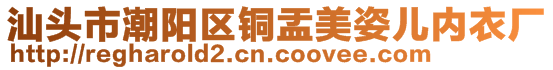 汕頭市潮陽(yáng)區(qū)銅盂美姿兒內(nèi)衣廠