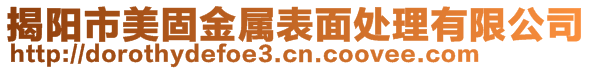 揭陽(yáng)市美固金屬表面處理有限公司