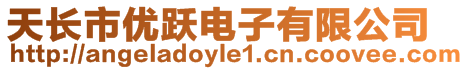 天長(zhǎng)市優(yōu)躍電子有限公司