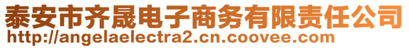 泰安市齊晟電子商務(wù)有限責(zé)任公司