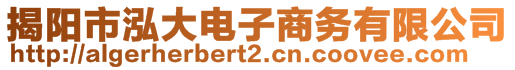 揭陽(yáng)市泓大電子商務(wù)有限公司