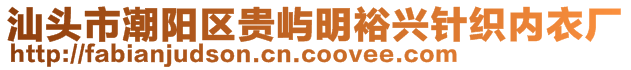 汕頭市潮陽區(qū)貴嶼明裕興針織內(nèi)衣廠