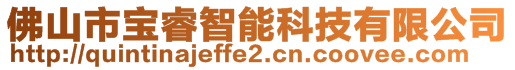 佛山市寶睿智能科技有限公司