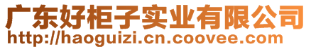 廣東好柜子實業(yè)有限公司