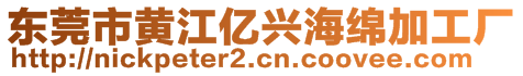 東莞市黃江億興海綿加工廠