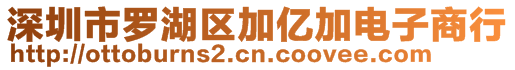深圳市羅湖區加億加電子商行