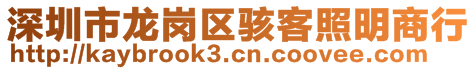 深圳市龙岗区骇客照明商行