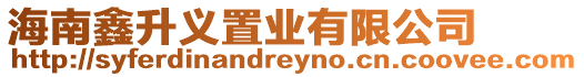海南鑫升義置業有限公司