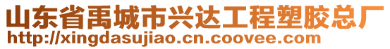 山東省禹城市興達(dá)工程塑膠總廠