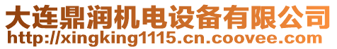 大連鼎潤(rùn)機(jī)電設(shè)備有限公司