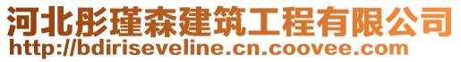 河北彤瑾森建筑工程有限公司