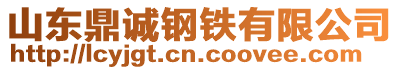 山東鼎誠鋼鐵有限公司