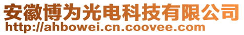 安徽博為光電科技有限公司