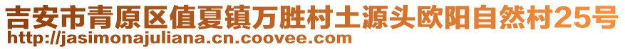 吉安市青原區(qū)值夏鎮(zhèn)萬勝村土源頭歐陽自然村25號