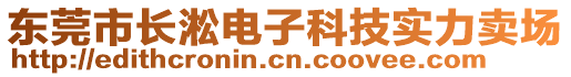 東莞市長(zhǎng)淞電子科技實(shí)力賣(mài)場(chǎng)