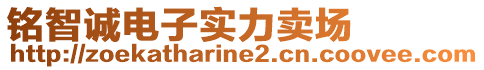 铭智诚电子实力卖场