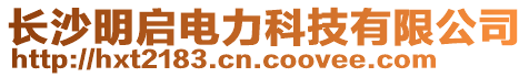 长沙明启电力科技有限公司