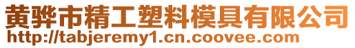 黃驊市精工塑料模具有限公司