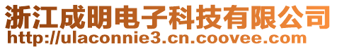 浙江成明电子科技有限公司