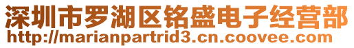 深圳市羅湖區銘盛電子經營部