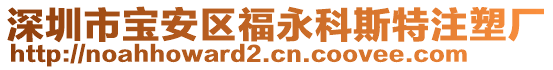 深圳市寶安區(qū)福永科斯特注塑廠