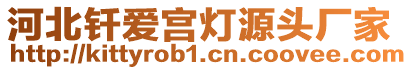 河北釬愛宮燈源頭廠家