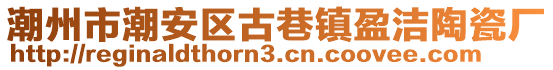 潮州市潮安區(qū)古巷鎮(zhèn)盈潔陶瓷廠