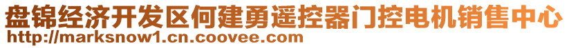 盤錦經(jīng)濟開發(fā)區(qū)何建勇遙控器門控電機銷售中心