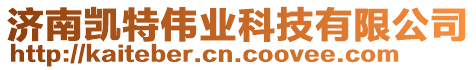 濟南凱特偉業(yè)科技有限公司