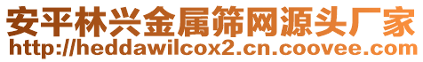 安平林興金屬篩網源頭廠家