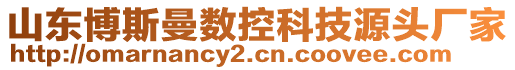 山东博斯曼数控科技源头厂家