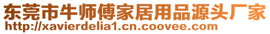 東莞市牛師傅家居用品源頭廠家