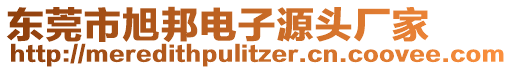 東莞市旭邦電子源頭廠家