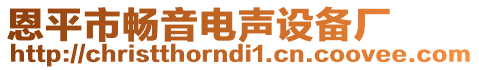 恩平市暢音電聲設(shè)備廠